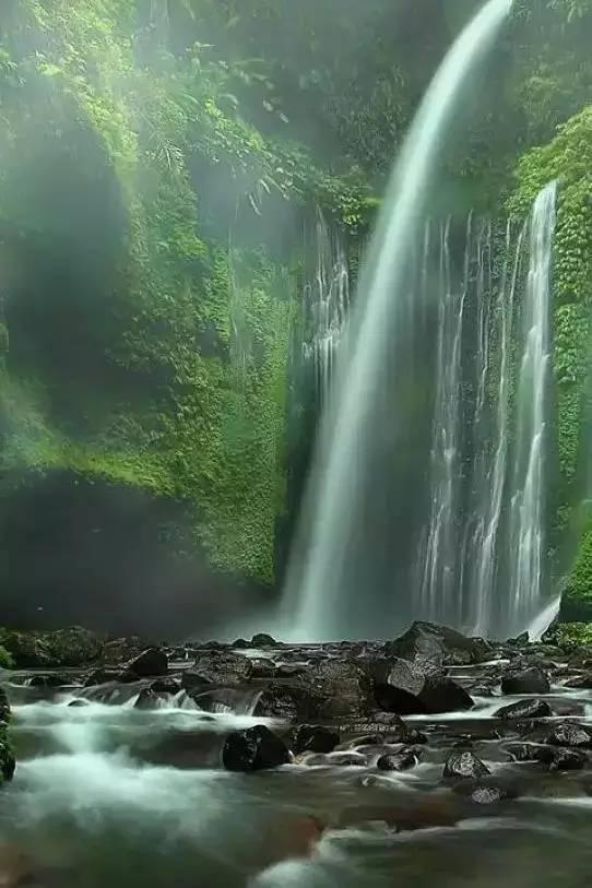 救援大胡子斗士