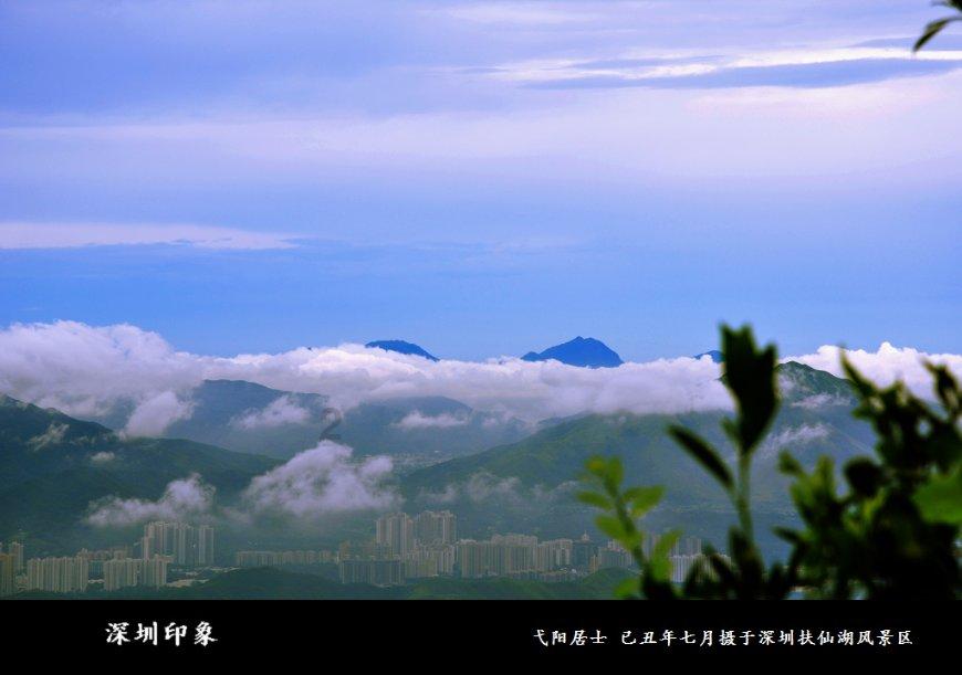 逃离小人国森林