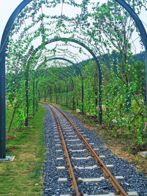 求此菌类的名称和简介。游戏画面