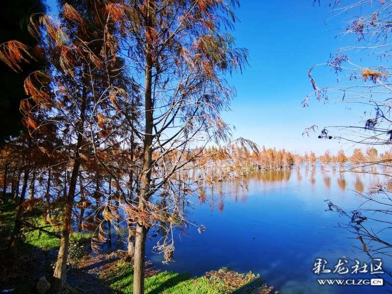 柬埔寨王子丧母又丧父，诺大家族却孤苦无依，9岁的王子实在凄凉