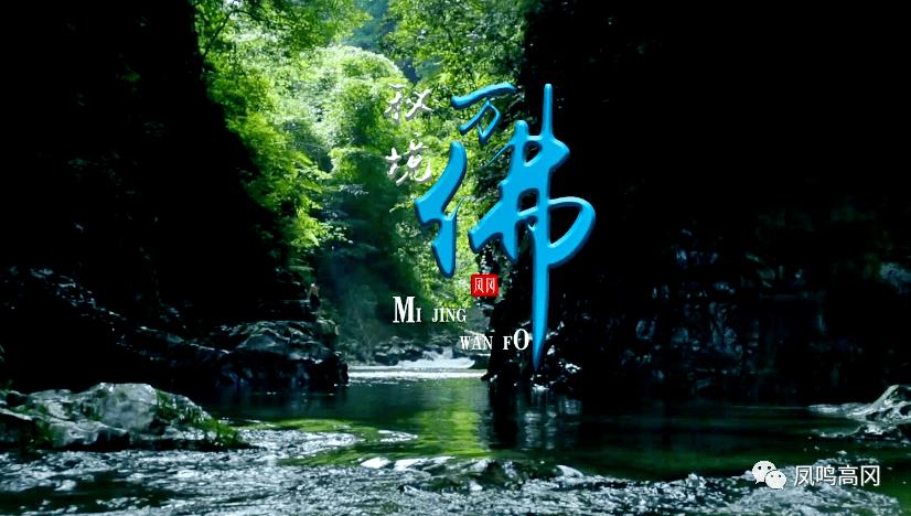 春雨直播app