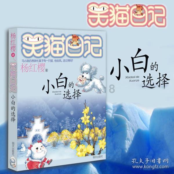 冲浪骑士