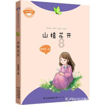 三国之志2