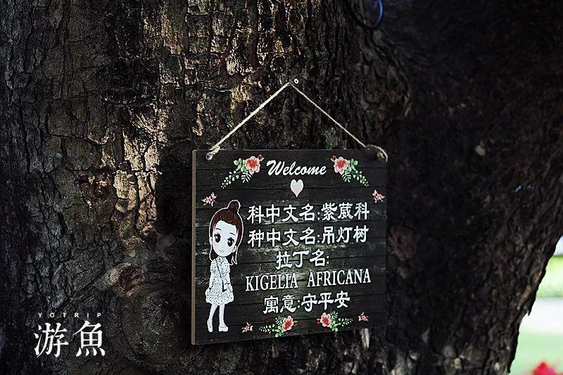 我修的可能是假仙