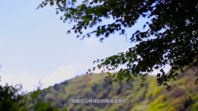 明日之后