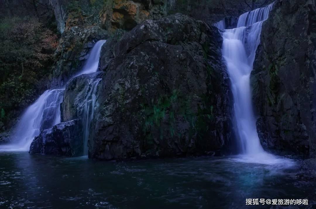 宠物世界聚会