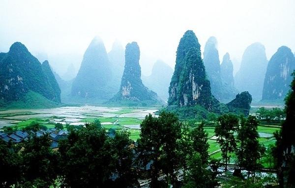 了解保育员,怎么备考?,探索知识星球平台