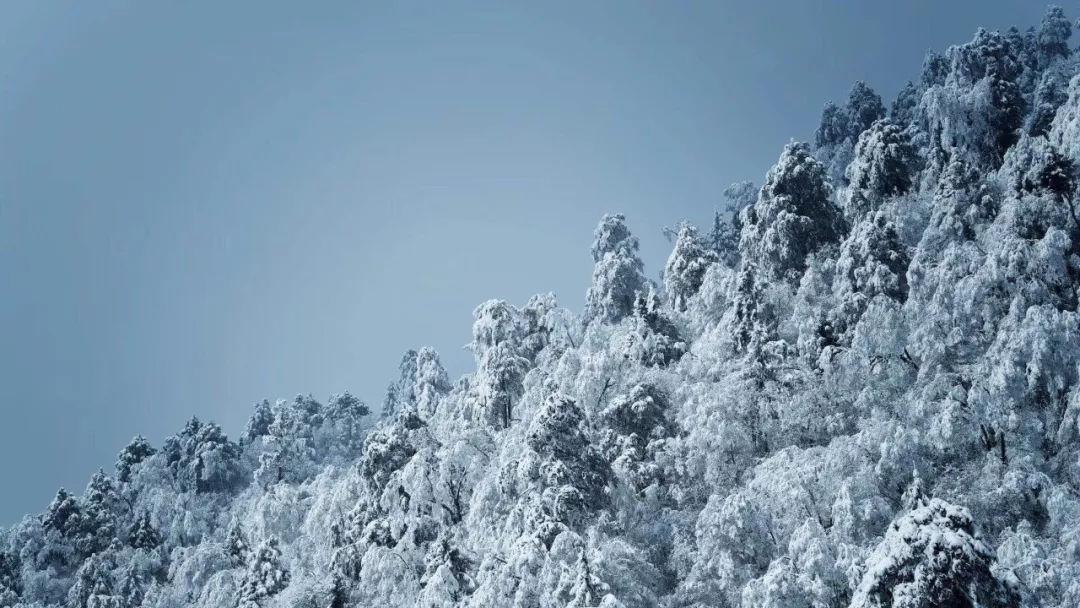 海东市民和县消防救援大队催告书