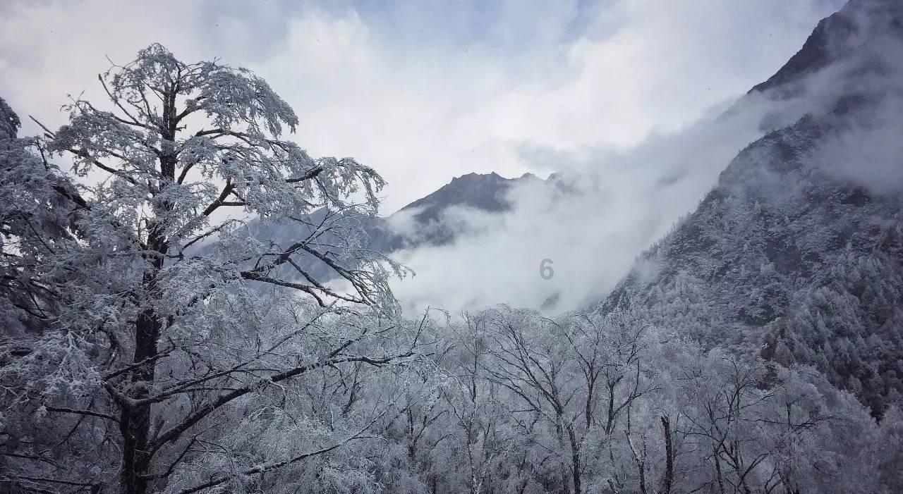 小猫钓鱼游戏龙王版有船