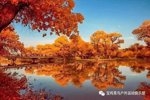 逗小猴开心系列186