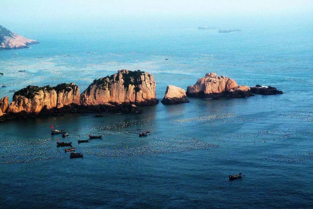 一张图：2024/01/26黄金原油外汇股指