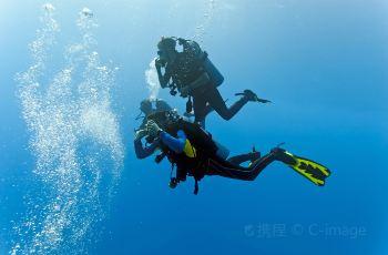 浅谈士族与门阀的兴衰史