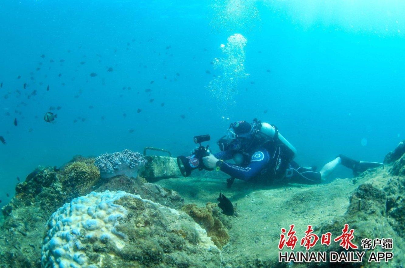 牛油果面包