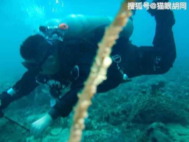 逗小猴开心系列208