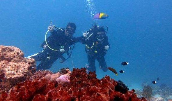梅艳芳冥诞，娱乐圈都有哪些明星发文表示了呢？游戏画面