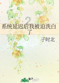 济南市莱芜区高庄街道开展第五次全国经济普查登记业务培训会