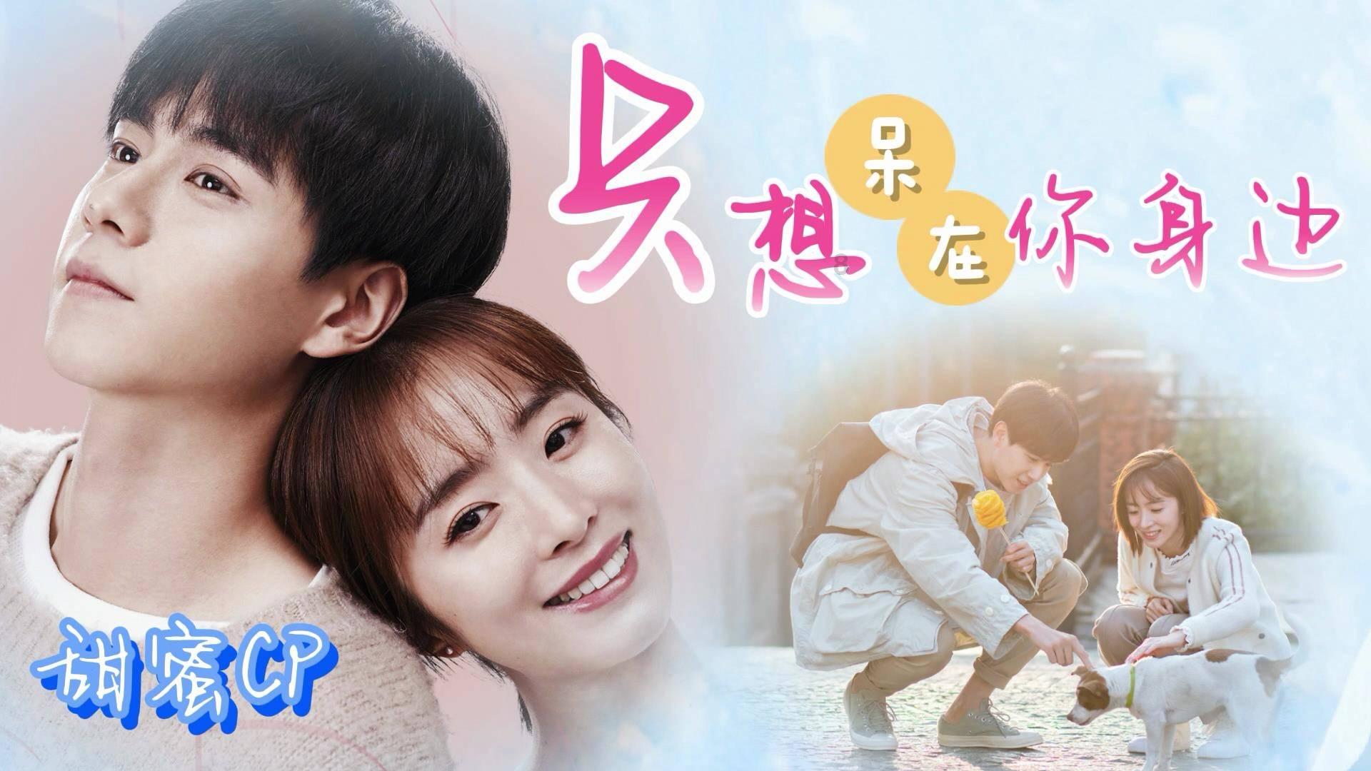 【行摄云南】大理巍山:玉兰花开春来早 古城赏花正当时
