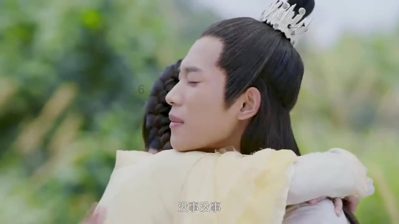 动物帮帮忙保卫家园