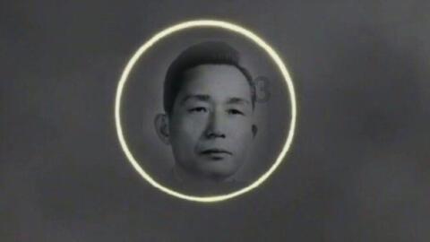 桃花侠守卫战