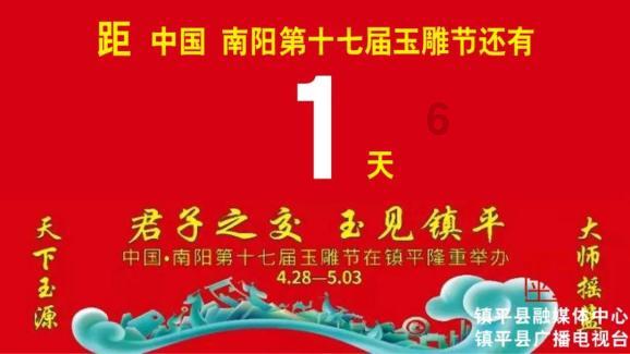 救援白色小猫