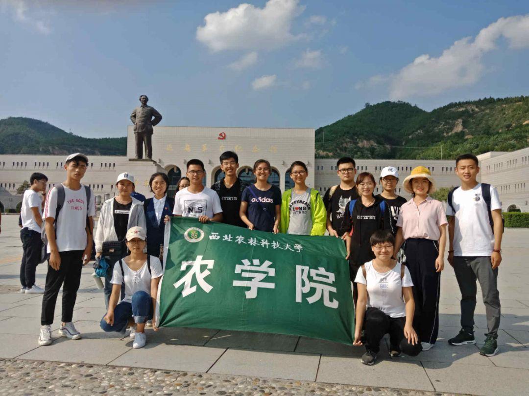 公路坦克战