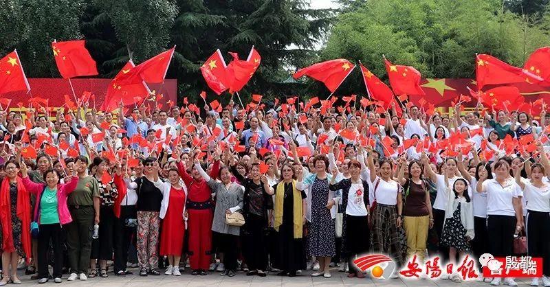 可爱小猫向上跳