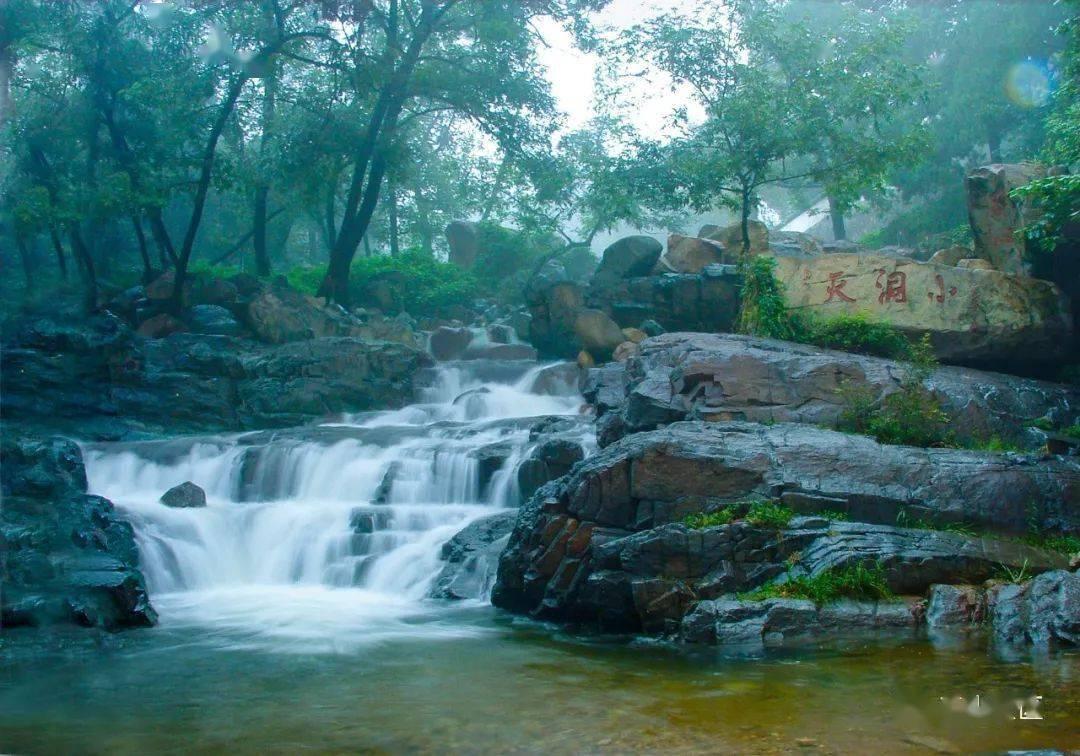 春雨直播app
