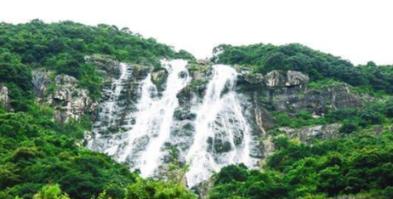 虫虫助手下载