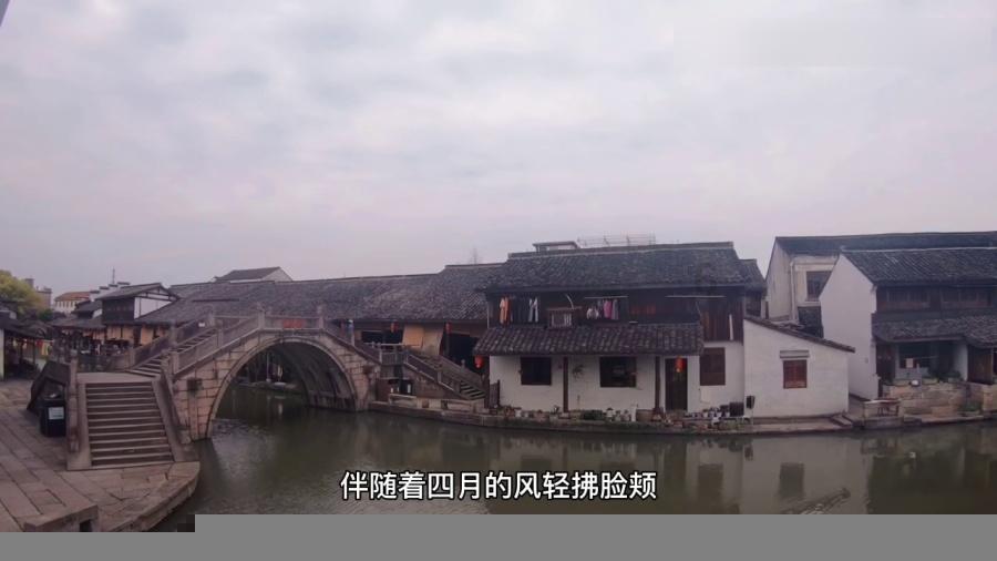 受困的西红柿