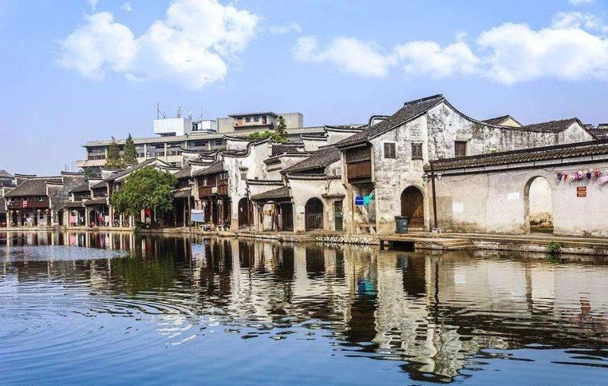 动物帮帮忙保卫家园