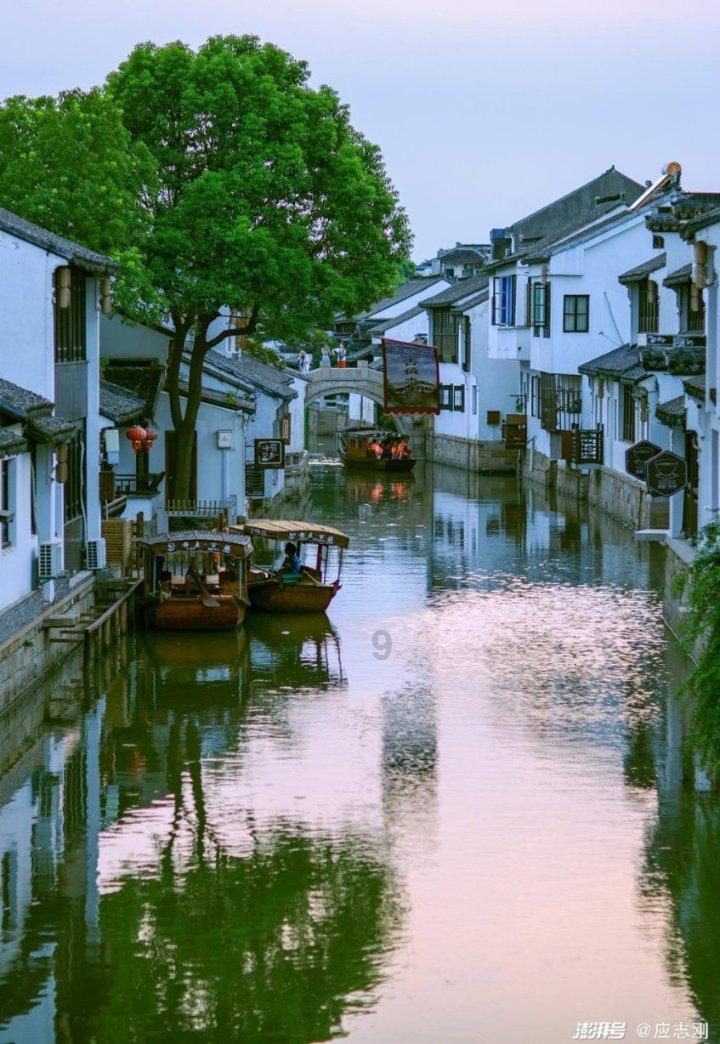 上海女排进步太大!副攻拦网增强、边攻实力更强、王之腾变成熟