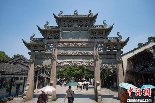 可爱小猫向上跳