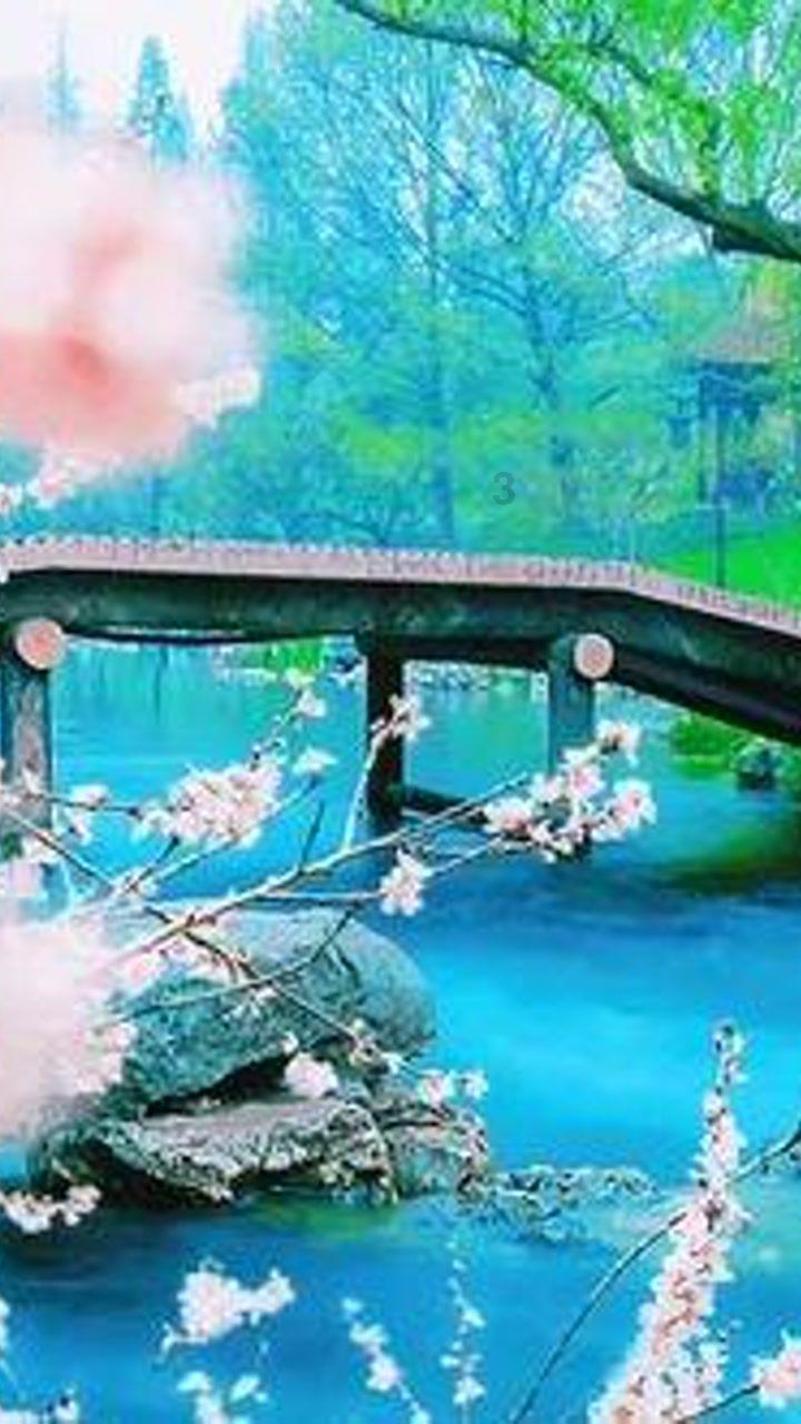 菲斯塔主打哪个颜色是哪款?-一个专注于讨论与分享的红迪网社区