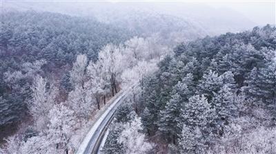 动物帮帮忙保卫家园