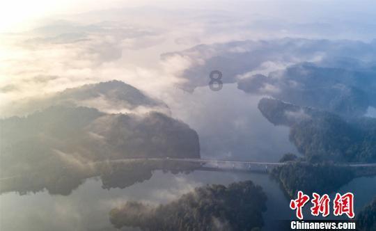 清清浅浅清清浅浅